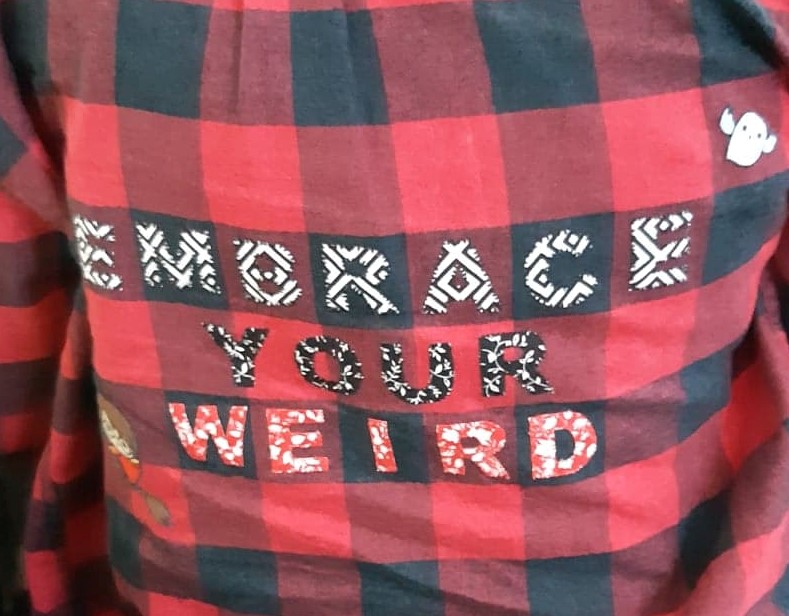 A red and black checked shirt with the words "embrace your weird" sewn on, and a Harry Potter figure and a Hedwig figure sewn on.